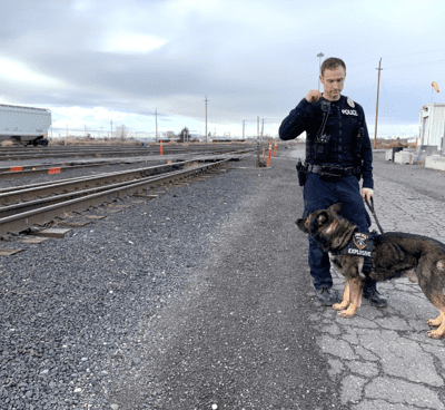K-9 1