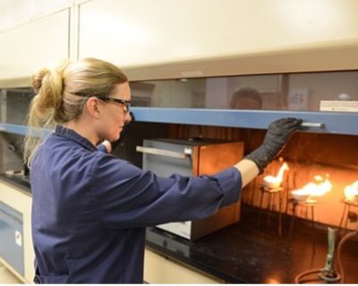 lab