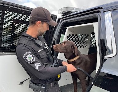 k9-fall-PNW
